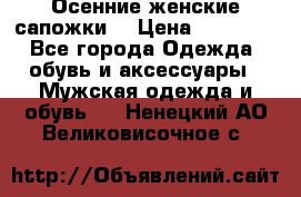 Осенние женские сапожки. › Цена ­ 2000.. - Все города Одежда, обувь и аксессуары » Мужская одежда и обувь   . Ненецкий АО,Великовисочное с.